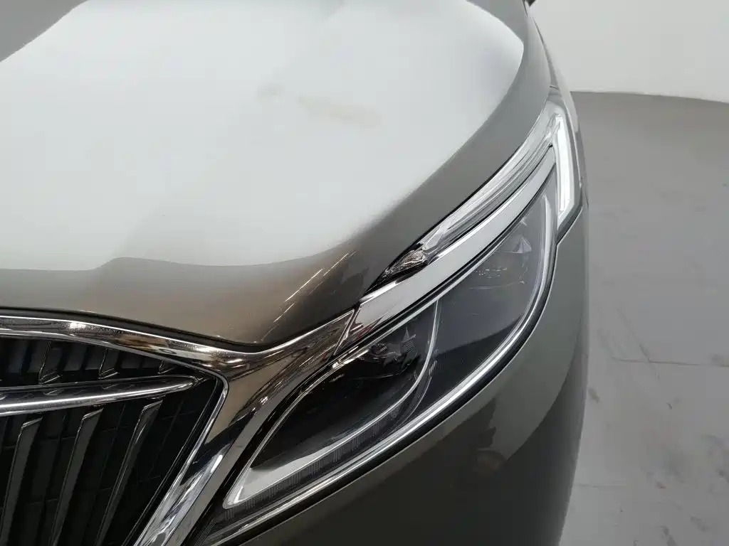 Buick GL8 — миниатюра 7