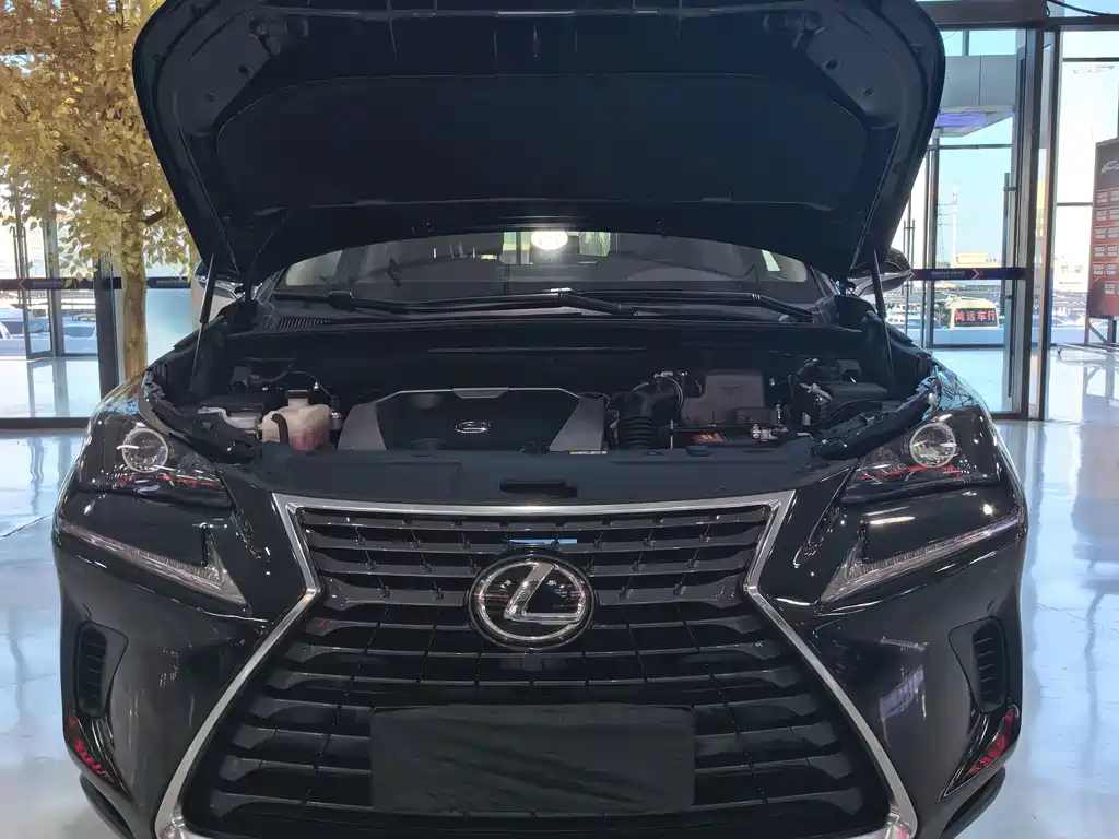 Lexus NX — миниатюра 16