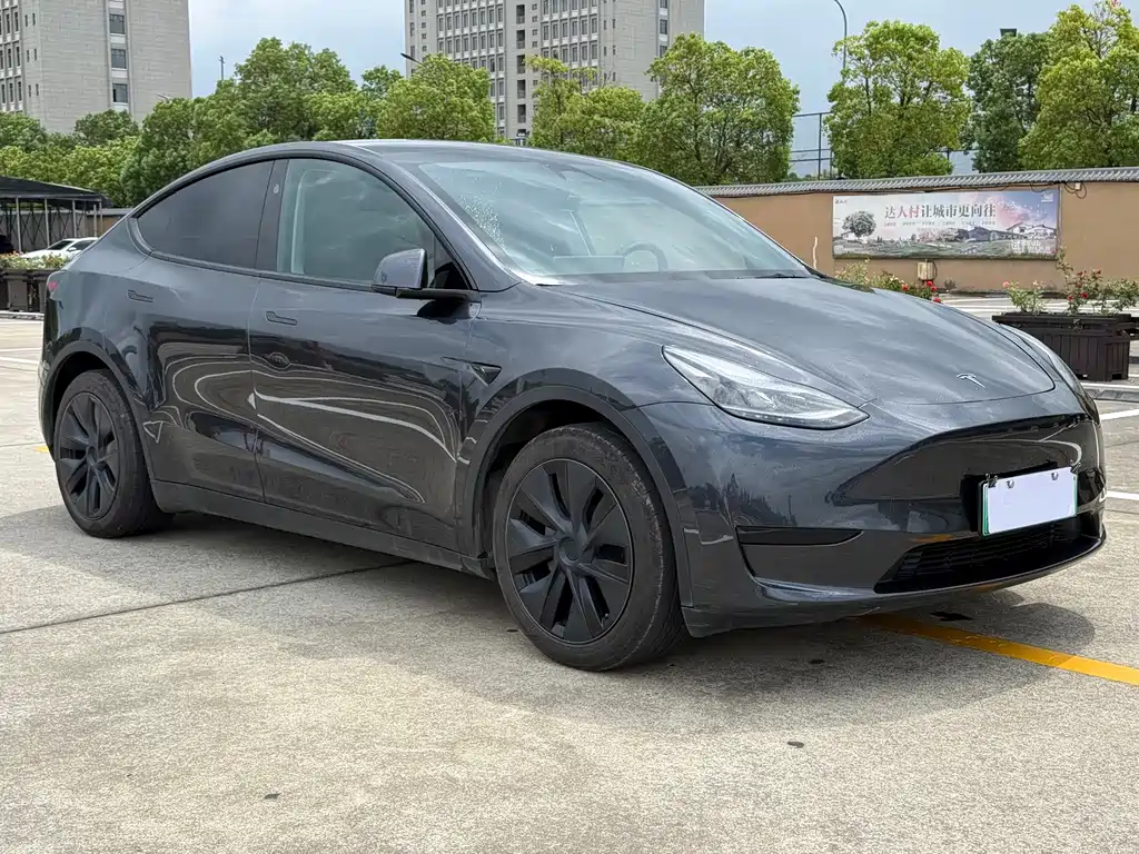 Tesla Model Y — миниатюра 7