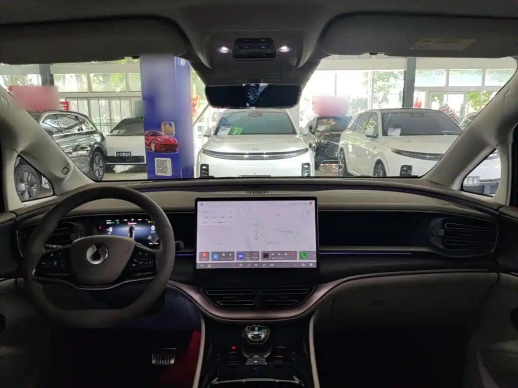 Denza Denza D9 — миниатюра 10
