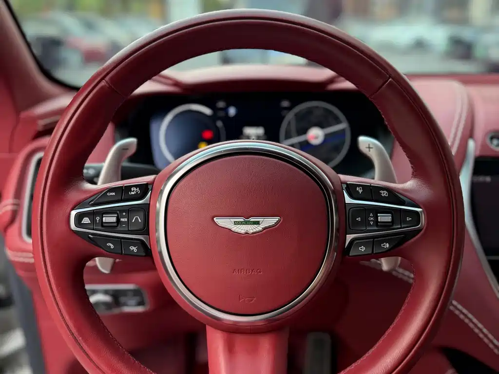 Aston Martin DBX — миниатюра 19