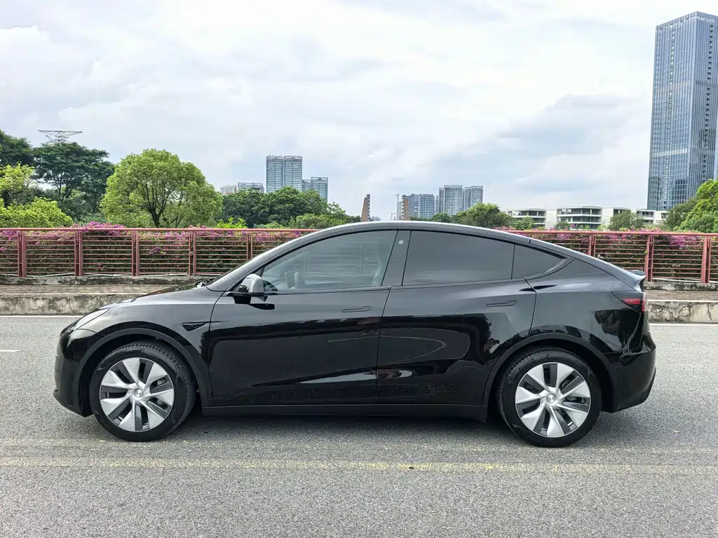 Tesla Model Y — миниатюра 19