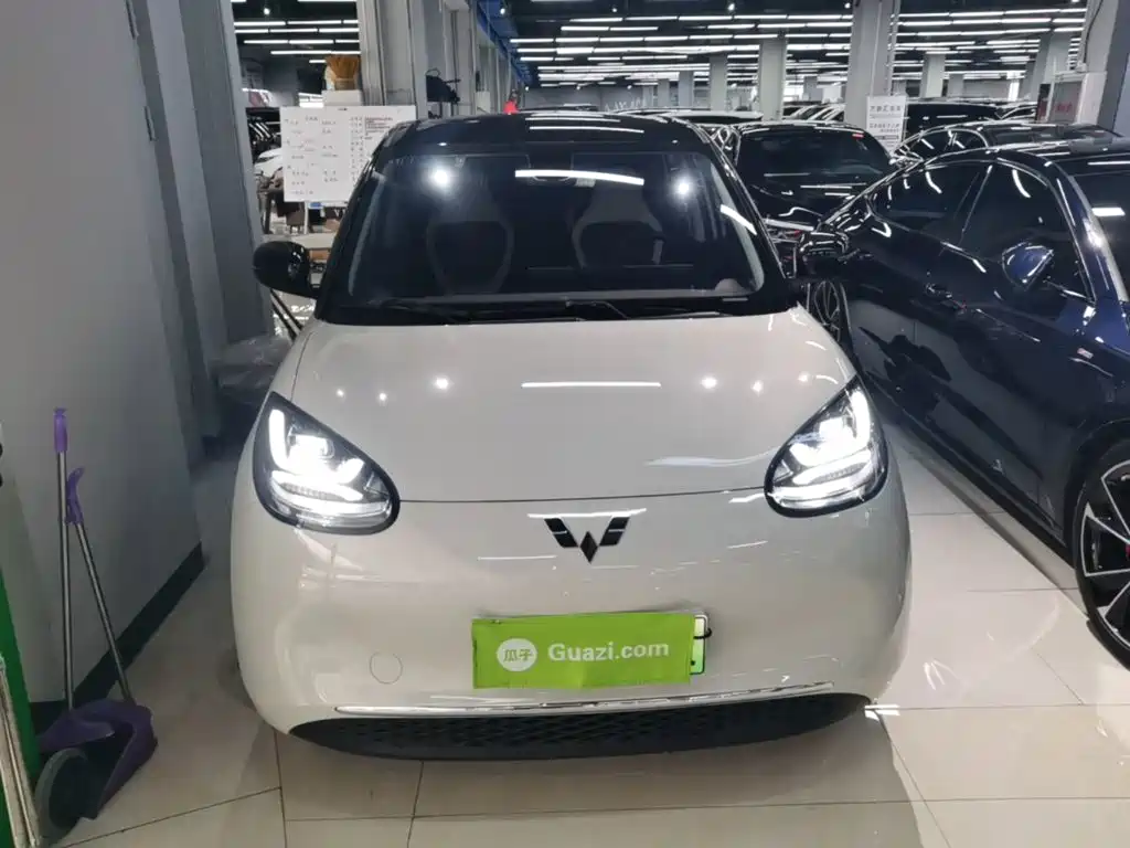 Wuling Binguo 2023 333km