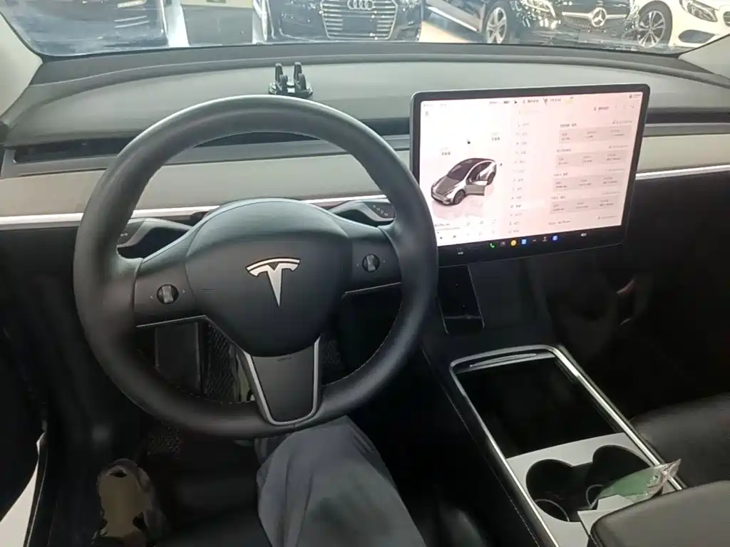 Tesla Model Y — миниатюра 10