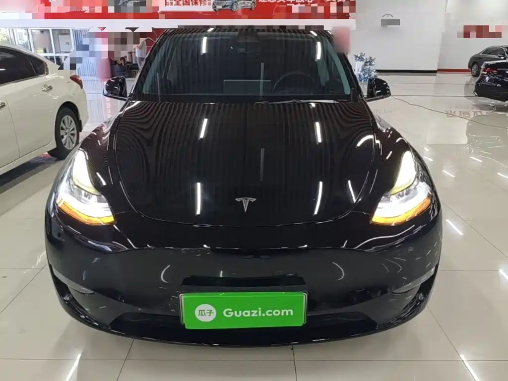 Tesla Model Y — миниатюра 3