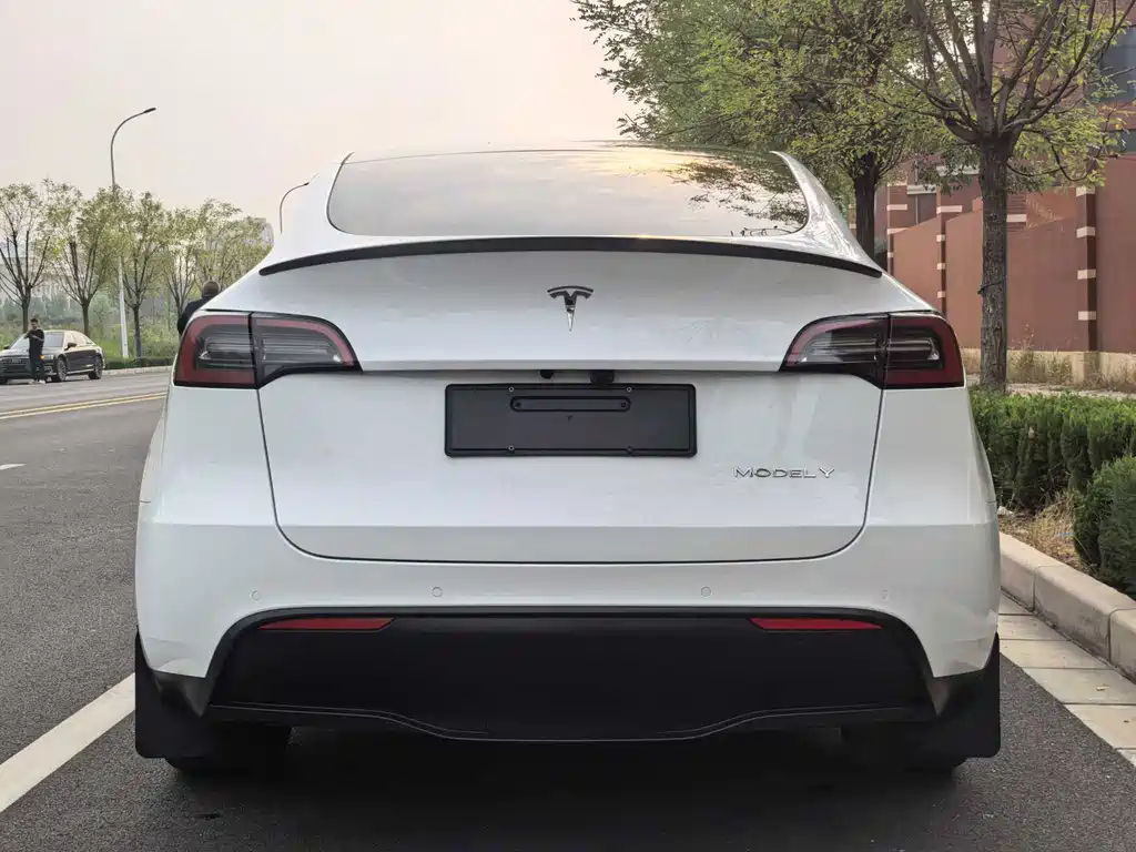 Tesla Model Y — фотографии объявления, Фото 17