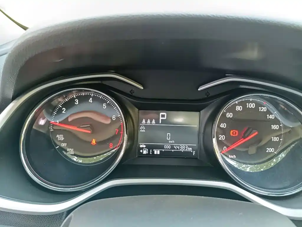 Chevrolet Cavalier — миниатюра 12