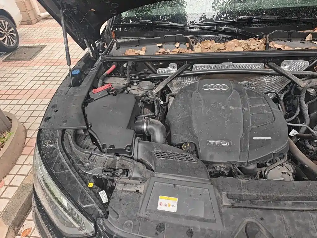 Audi Q5L — миниатюра 21