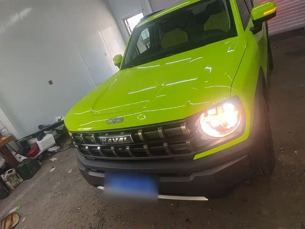 Haval Cool Dog — миниатюра 3