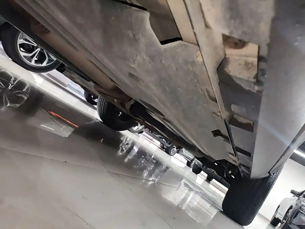 Haval Big Dog — миниатюра 22