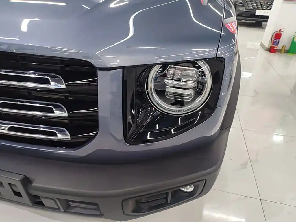 Haval Big Dog — миниатюра 24