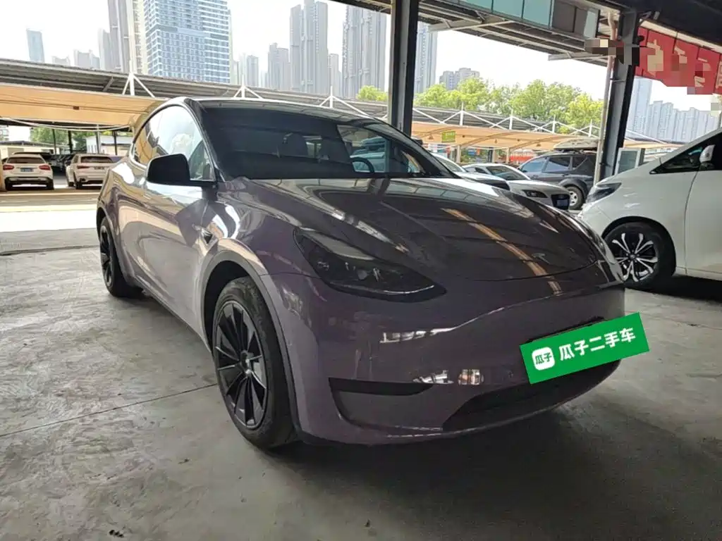 Tesla Model Y — миниатюра 4