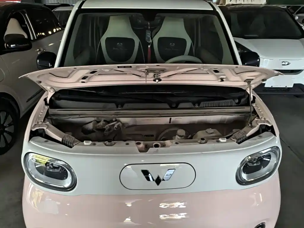 Wuling MINIEV — миниатюра 20