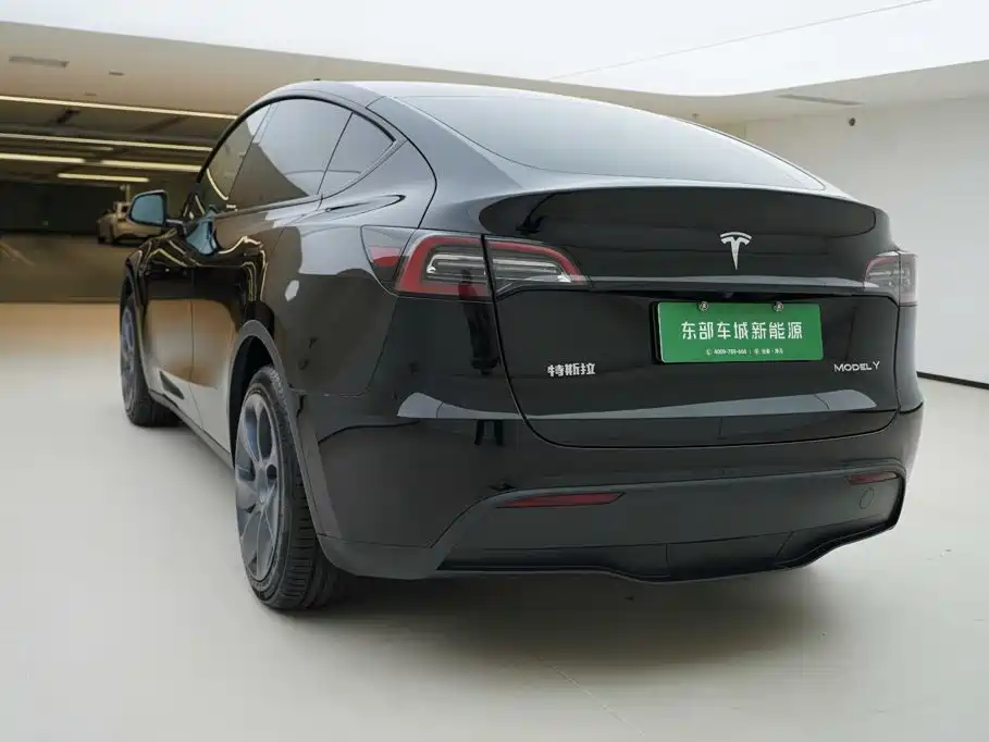 Tesla Model Y — миниатюра 4