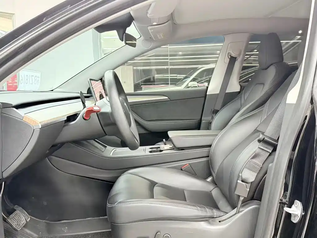 Tesla Model Y — миниатюра 6