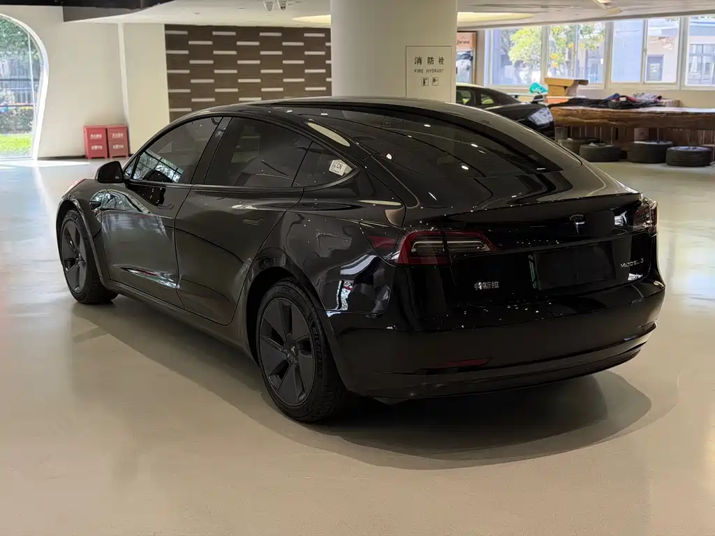 Tesla Model 3 — миниатюра 4