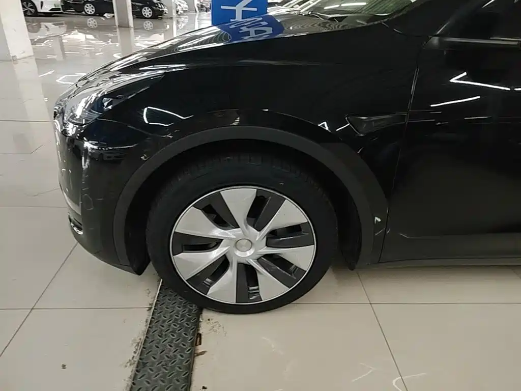 Tesla Model Y — миниатюра 23