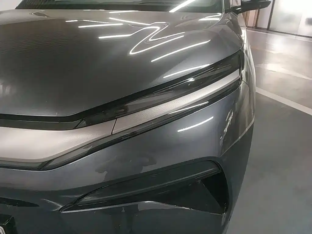 BYD Дон Л. — миниатюра 24