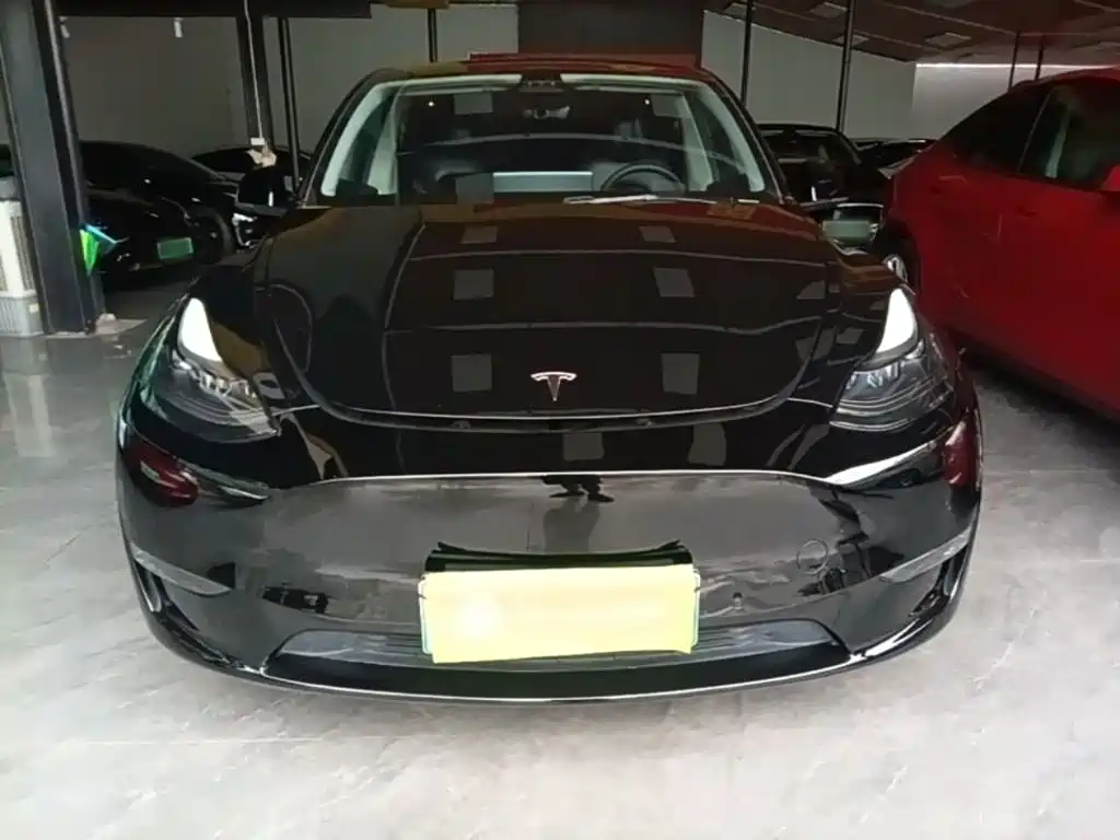 Tesla Model Y — миниатюра 3