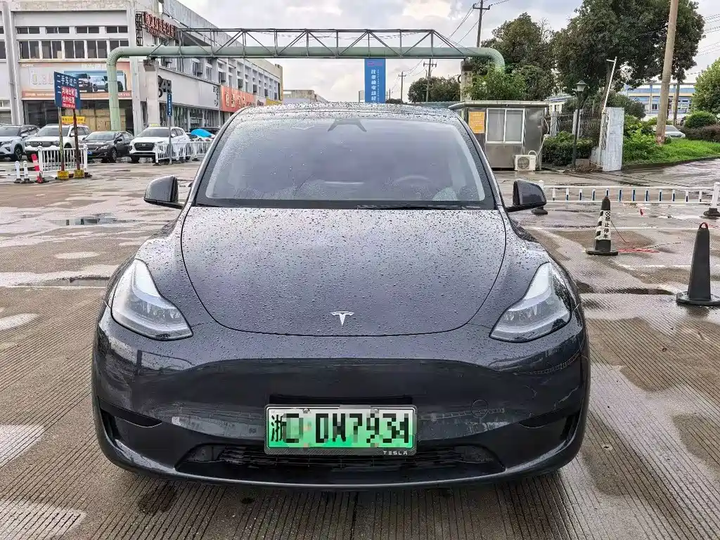 Tesla Model Y — миниатюра 2