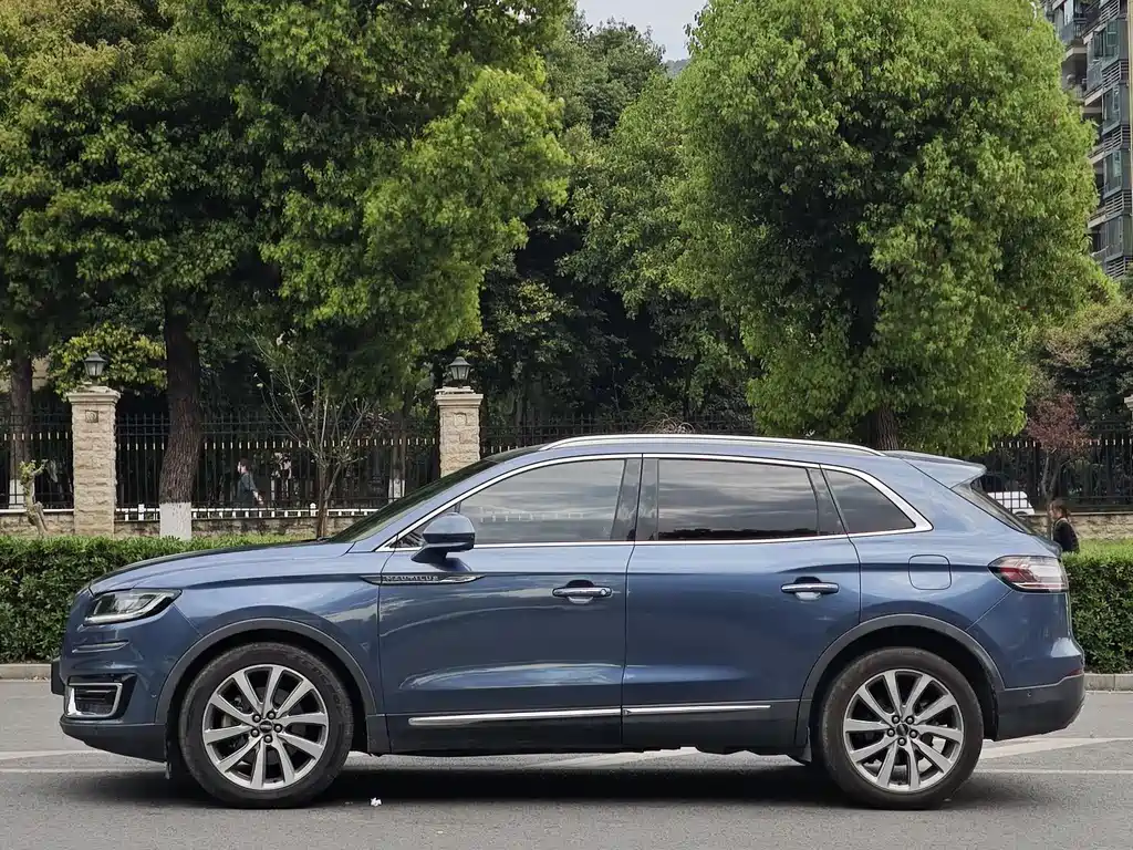 LINCOLN NAVIGATOR (IMPORT)