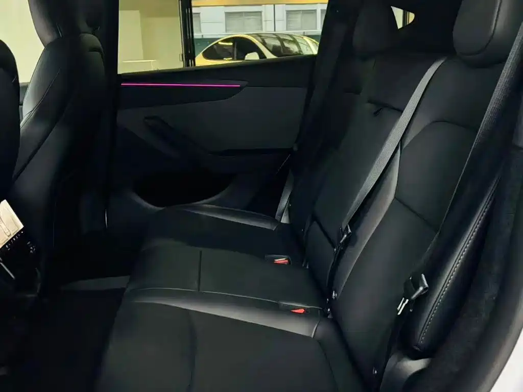 Tesla Model Y — миниатюра 4