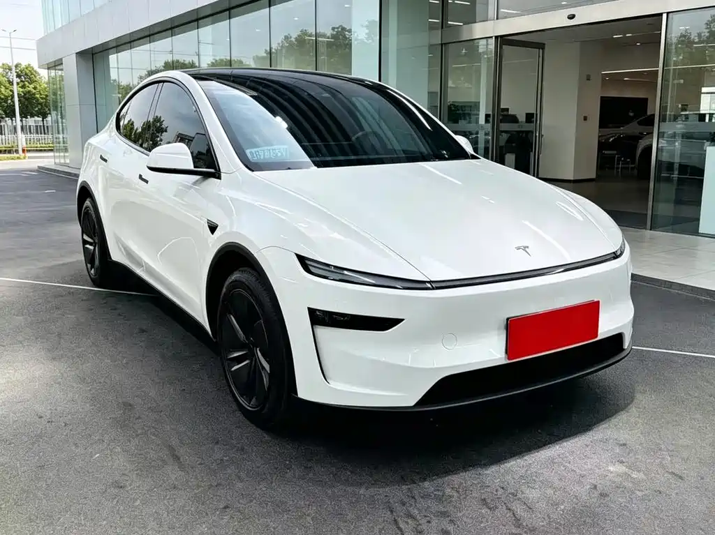 Tesla Model Y — миниатюра 3