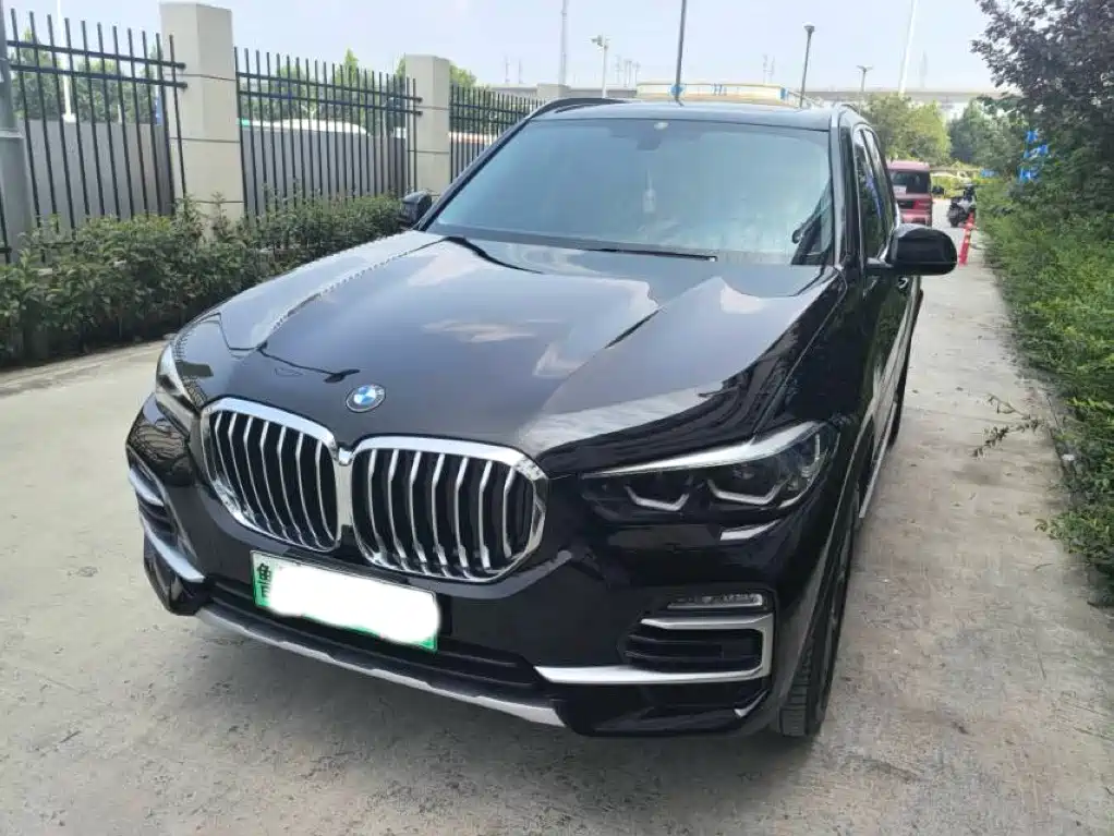 BMW X5 New Energy (Import)