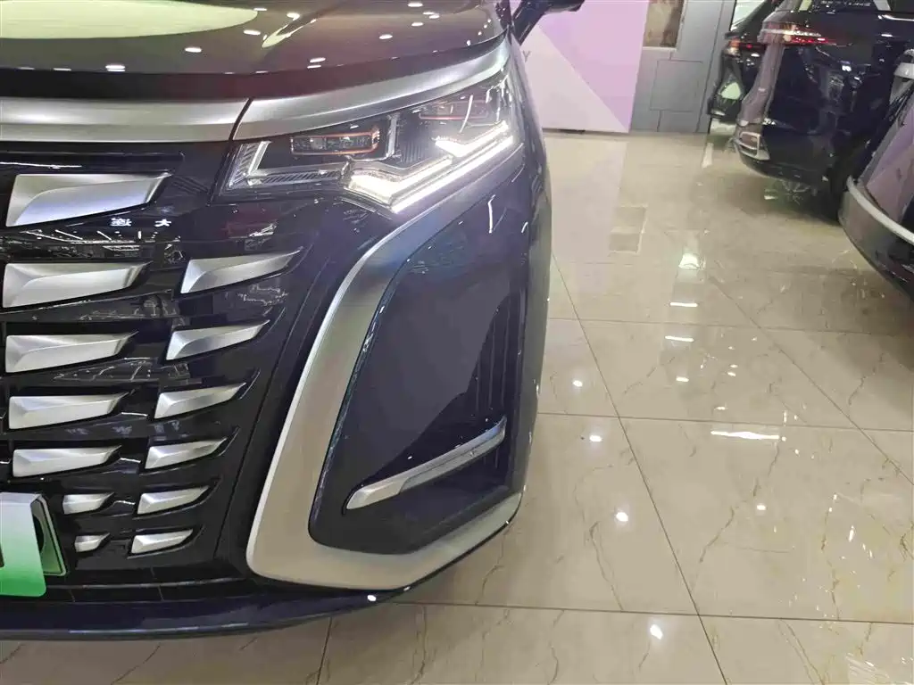 Denza Denza D9 — миниатюра 11