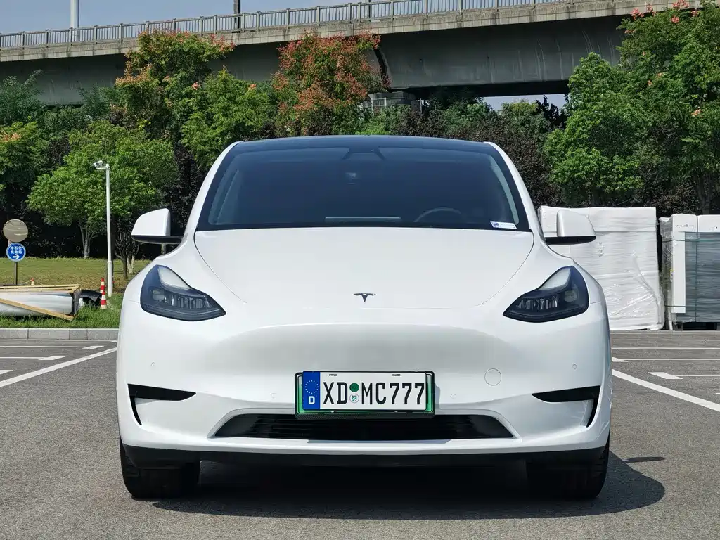 Tesla Model Y — миниатюра 2