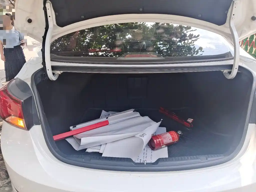 Hyundai Elantra Langdong — миниатюра 15
