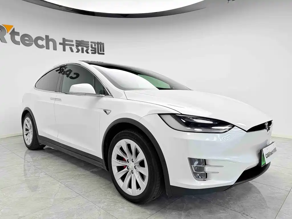 Tesla Model X 2019 Performance