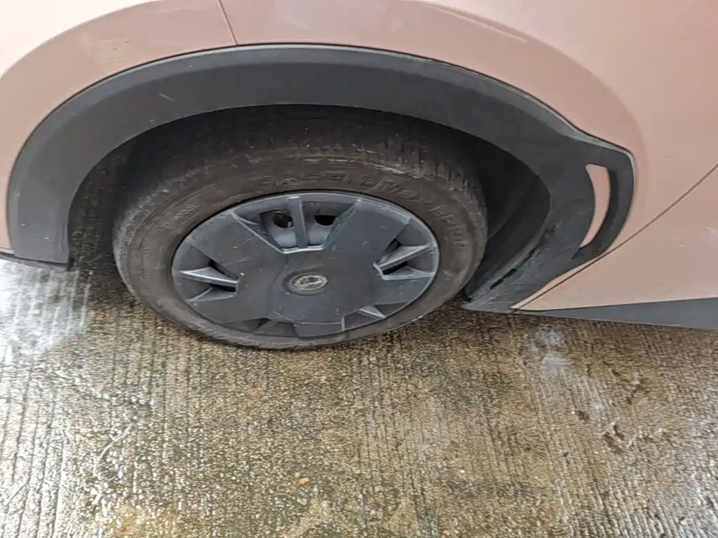 BYD Seagull — миниатюра 23