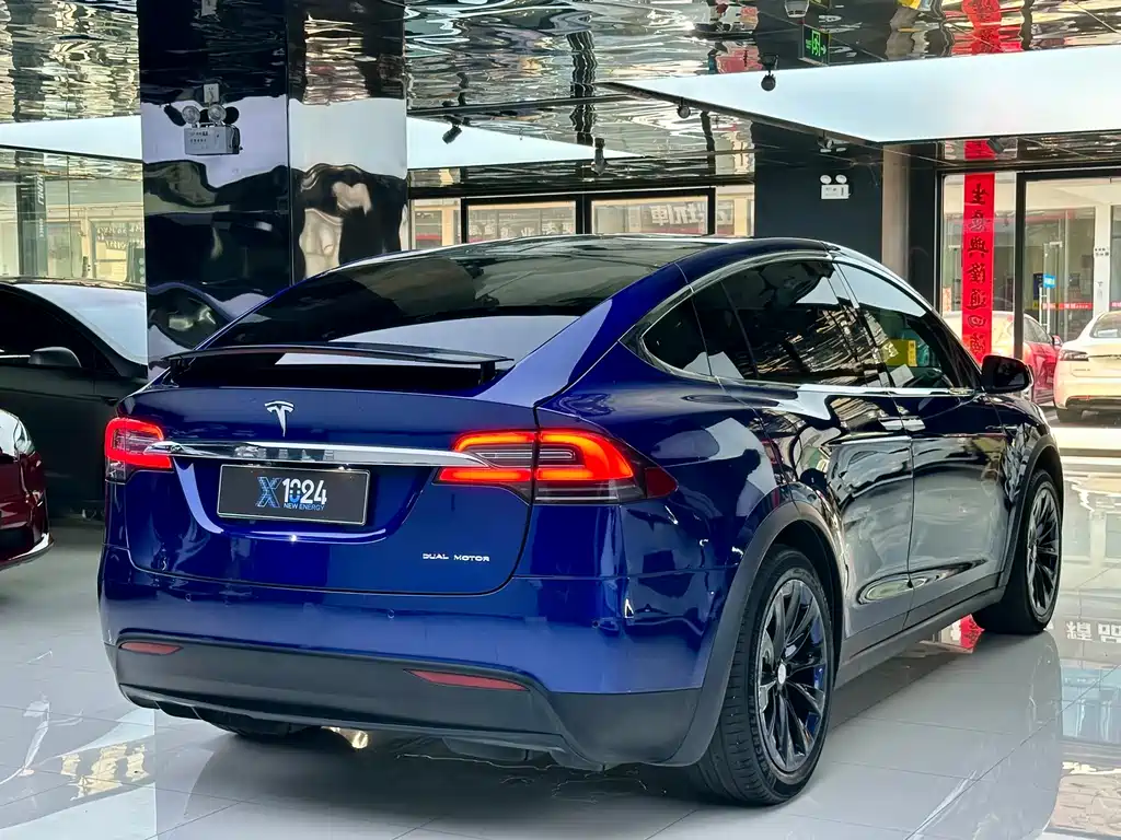 Tesla Model X — миниатюра 4