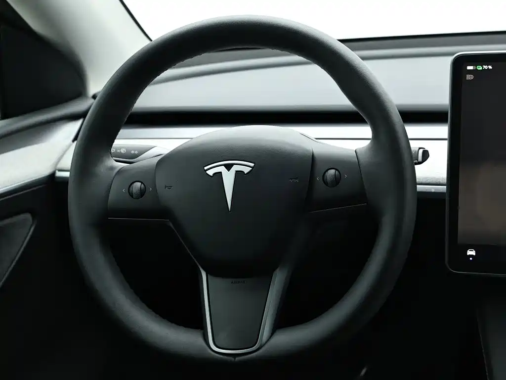 Tesla Model Y — миниатюра 16