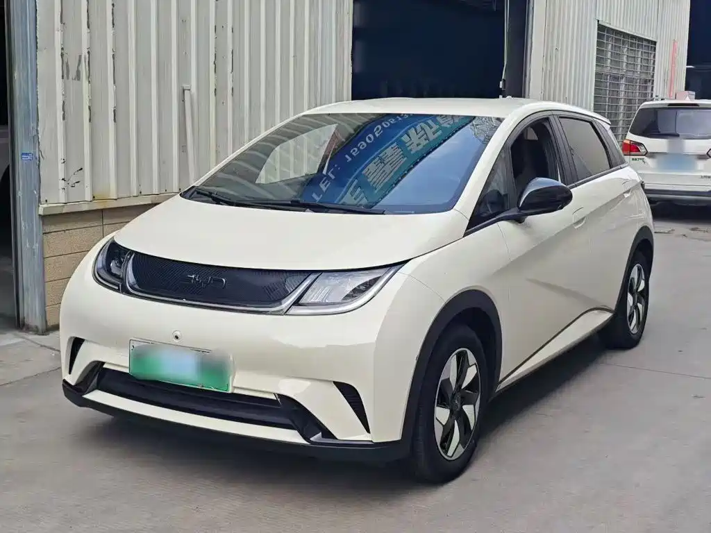 BYD Dolphin — миниатюра 2