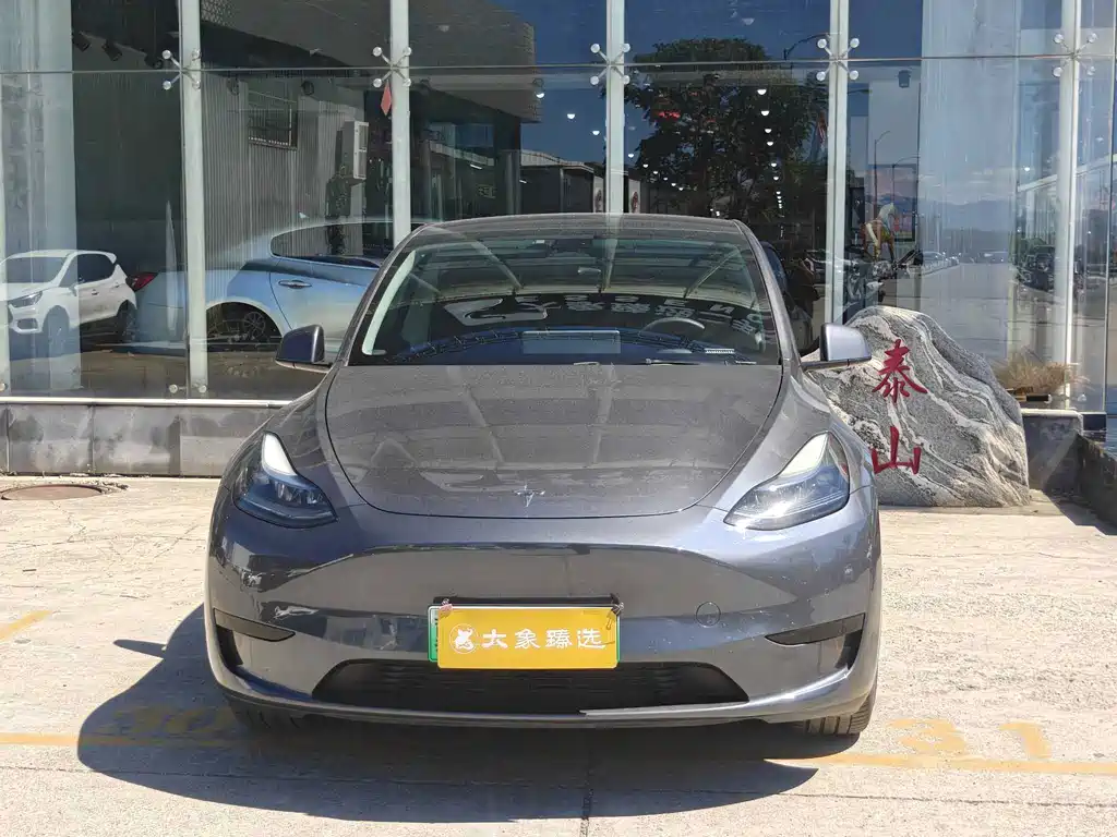 Tesla Model Y — миниатюра 2