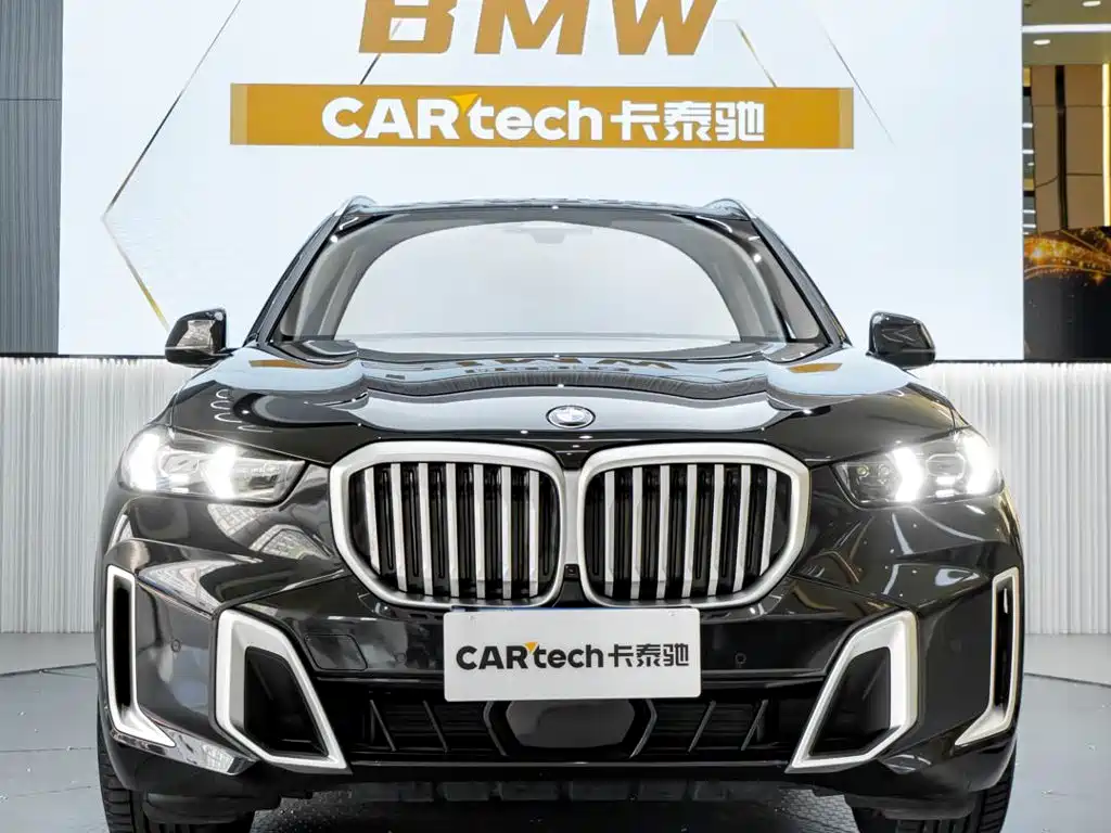 BMW X5 — миниатюра 2