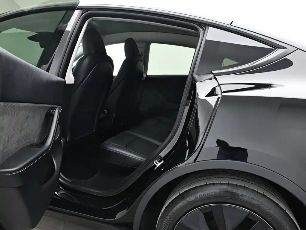 Tesla Model Y — миниатюра 14