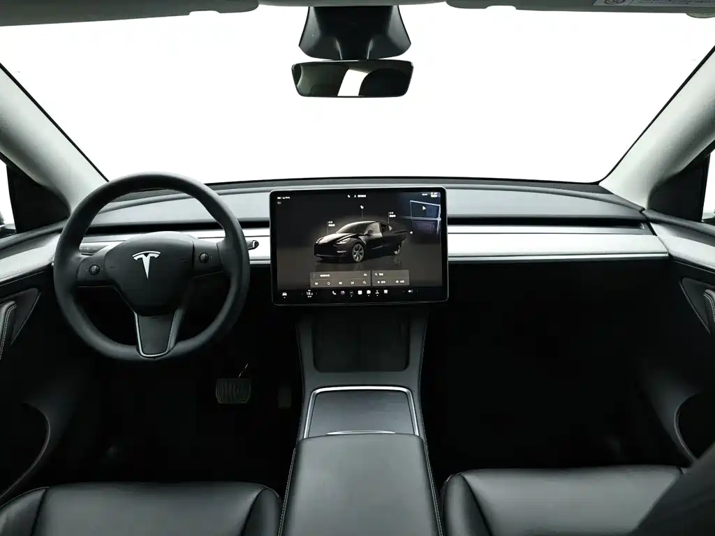 Tesla Model Y — миниатюра 15