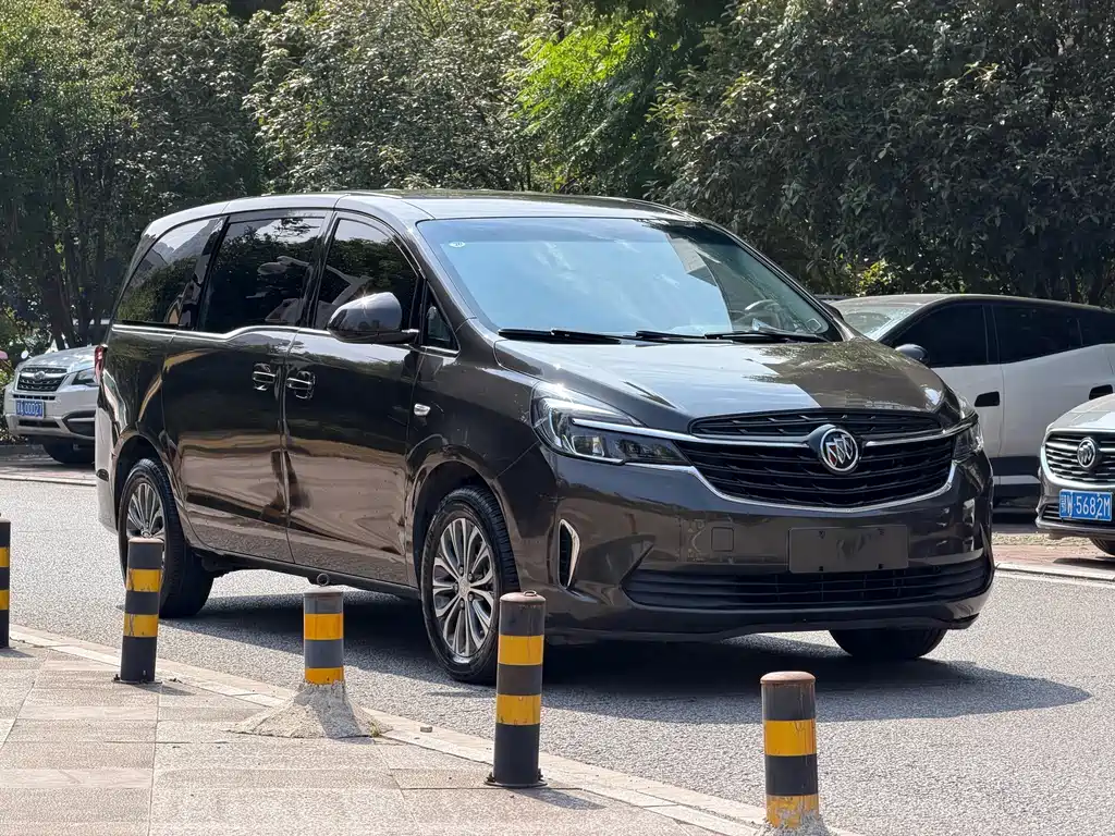Buick GL8 — миниатюра 2