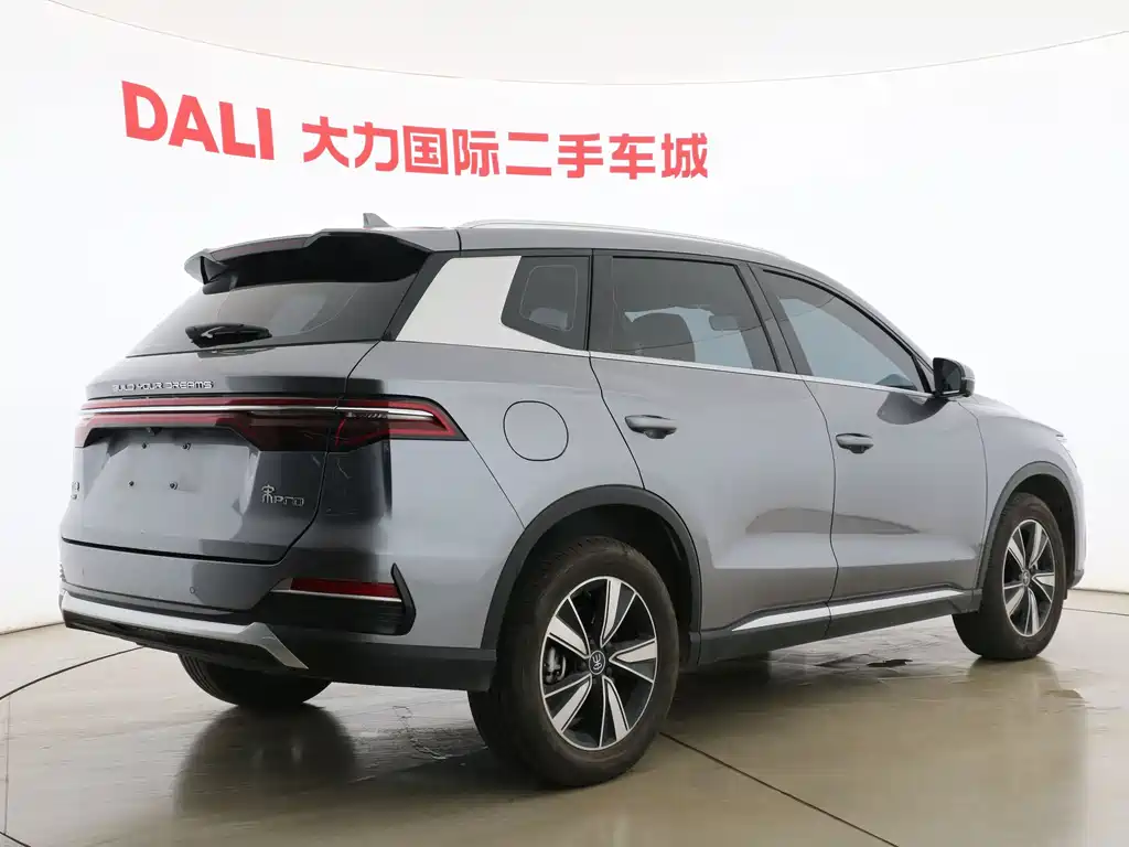 BYD Pro New Energy — миниатюра 13
