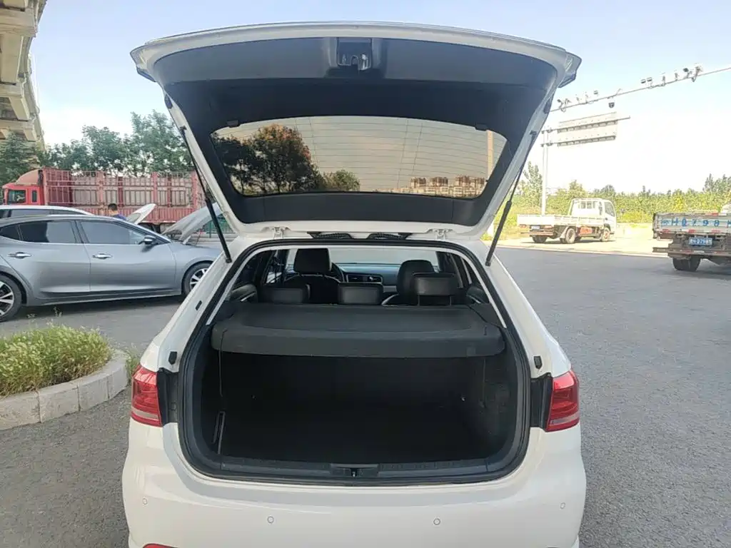 Volkswagen Gran Lavida — миниатюра 19