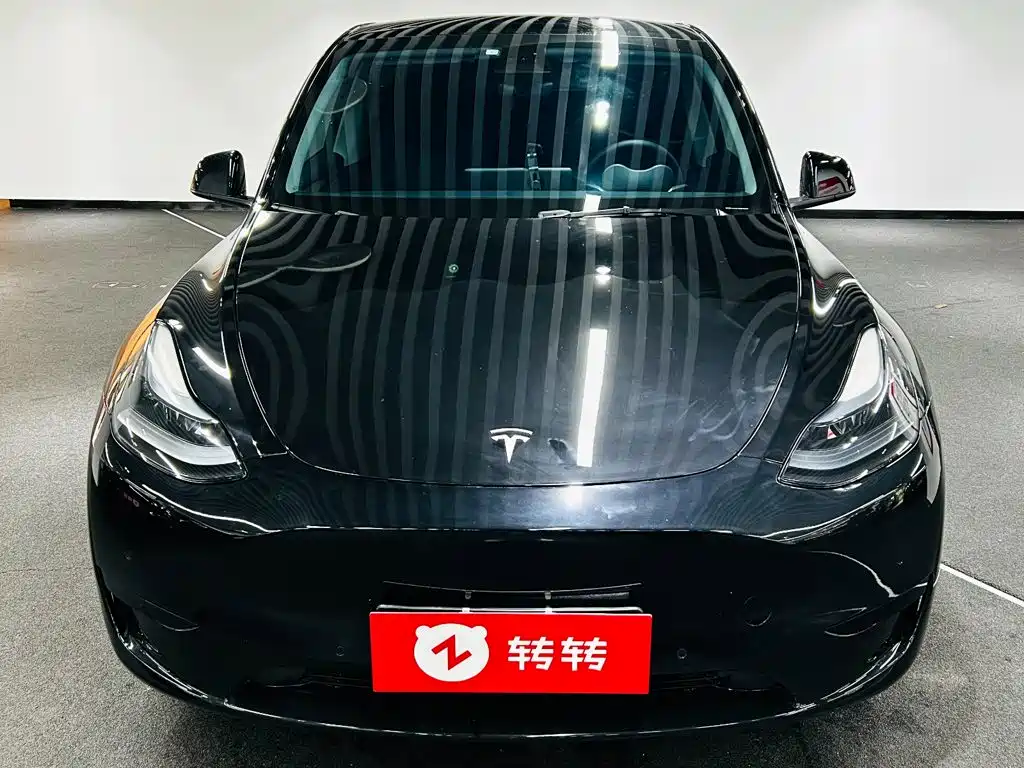 Tesla Model Y — миниатюра 2