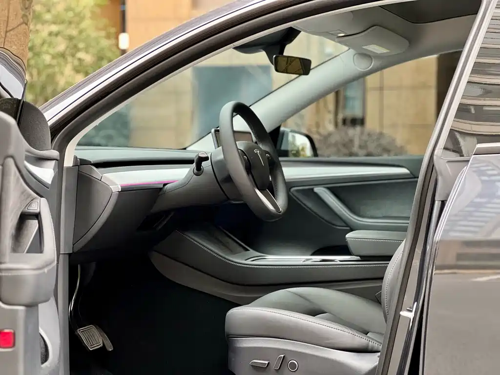 Tesla Model Y — миниатюра 4