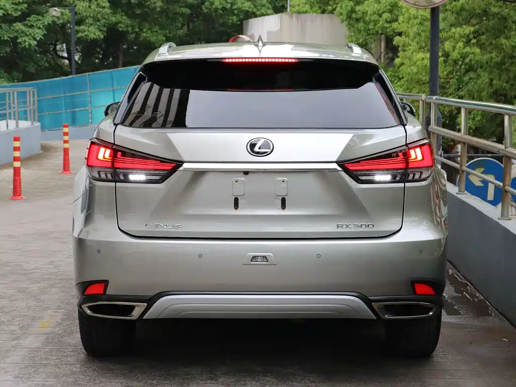 Lexus RX - фото 5