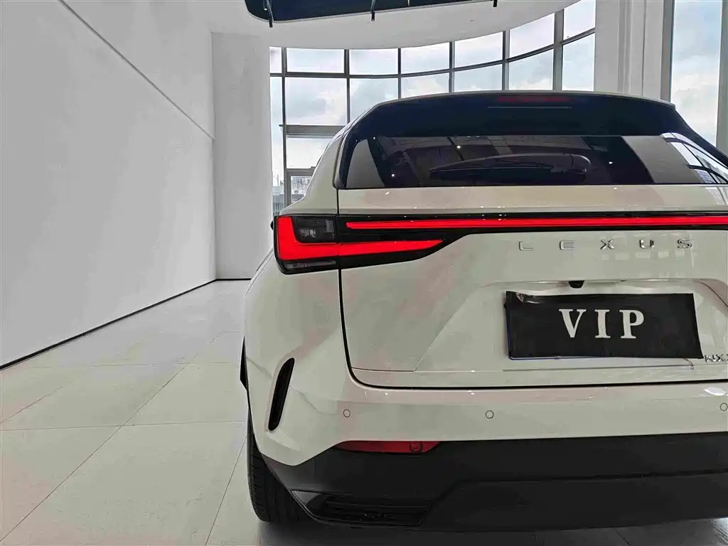 Lexus NX — миниатюра 23