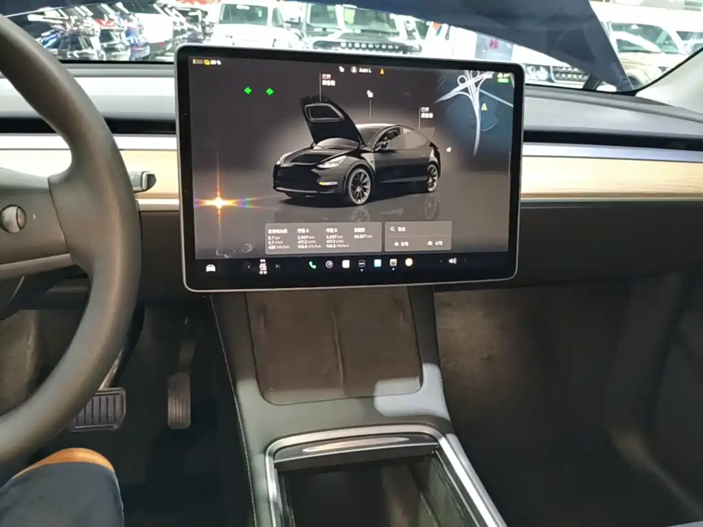 Tesla Model Y — миниатюра 13