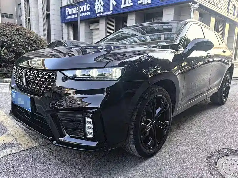 Wey Wey VV7