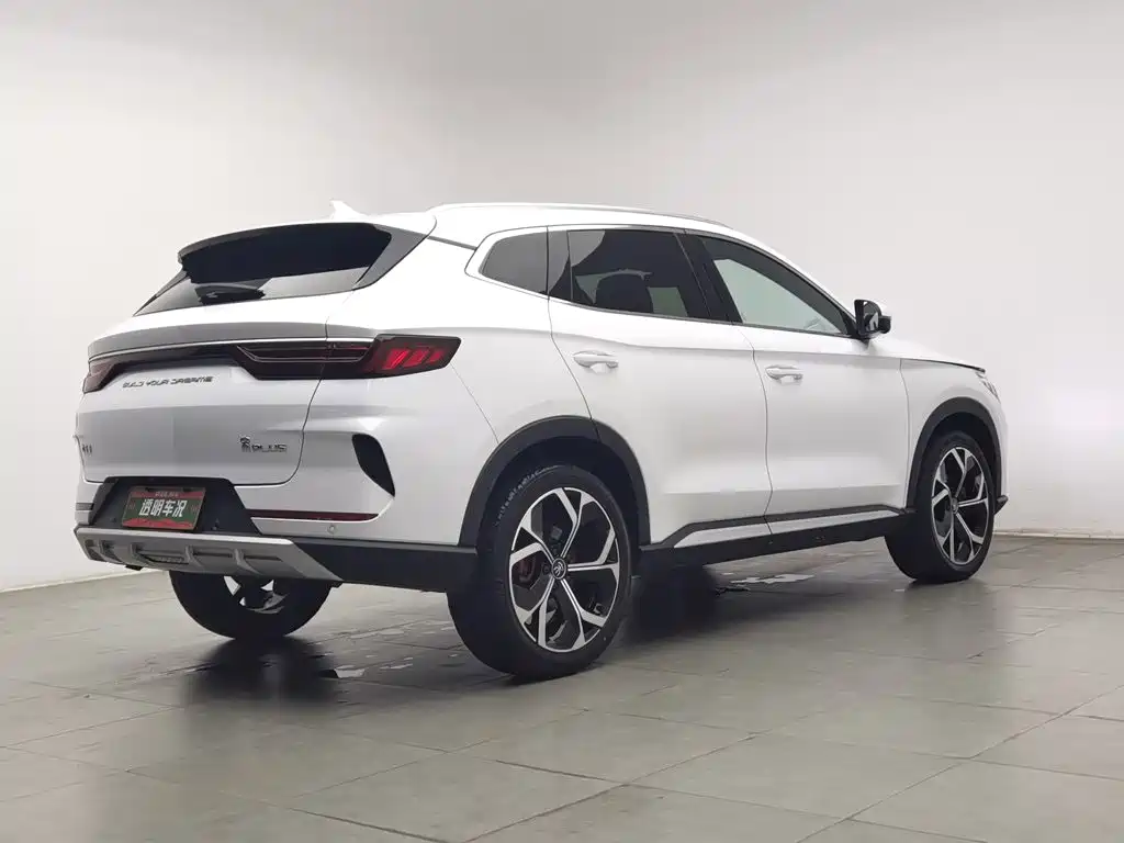 BYD PLUS — миниатюра 2